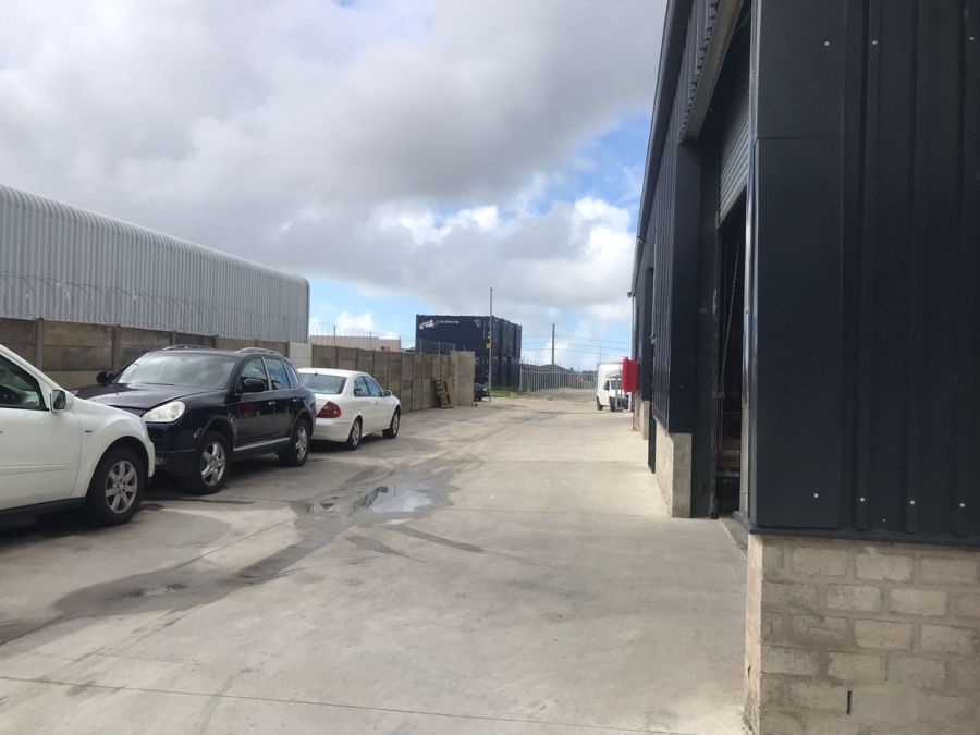 To Let commercial Property for Rent in Pacaltsdorp Western Cape